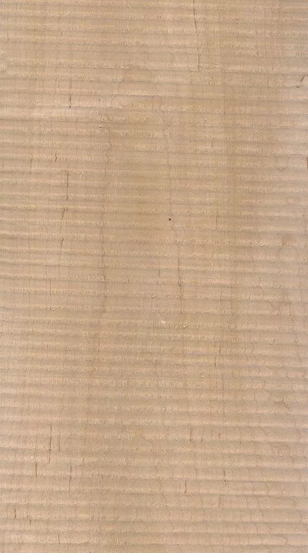 樺木的芯材顏色是淡紅棕色，邊材顏色近白色，板面寬且?guī)в暗哪酒な袌鰞r(jià)格良好，紋理通常是直紋和波浪紋，質(zhì)地均勻，板面有很好的自然光澤度。.webp.jpg